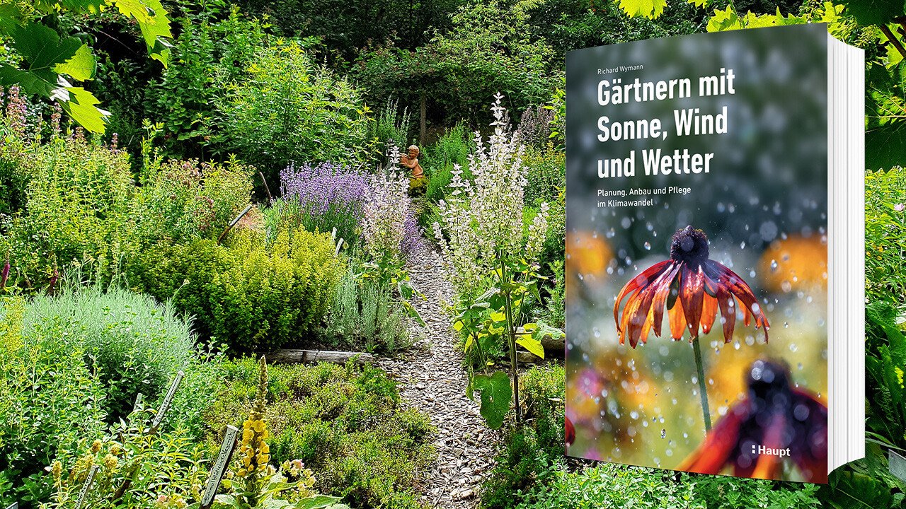 Buch: Gärtnern mit Sonne, Wind und Wetter