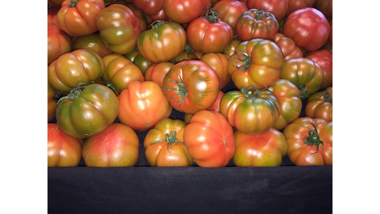 sardische Tomaten